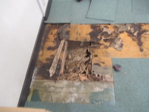 IMG_0149