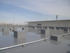IMG_0363 (2)