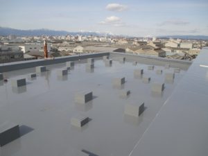 IMG_0381 (2)