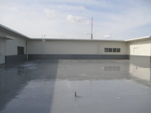 IMG_0455 (2)